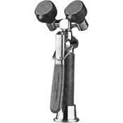 RG 5022 Eye Wash Station   Deck Mounted