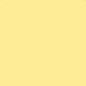 2 x 2  1 2 Coral Solid Color Filter