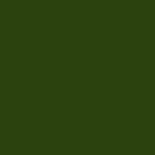 6 x 6  Deep Green #61 Filter