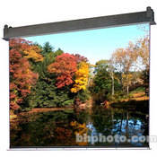 205020 Apex Manual Projection Screen (96 x 96 )