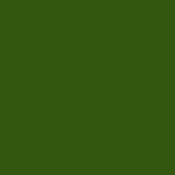 3x3  Green #58 Glass Filter for Black & White Film