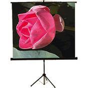 SC T6011 Tripod Front Projection Screen (60x60 )