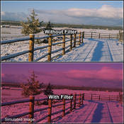 3 x 4  2 Cranberry Solid Color Filter