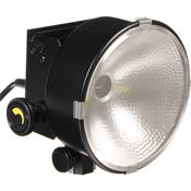 DP Focus Flood  Light (120 240VAC)