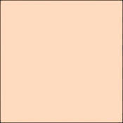 GC338  GamColor Colored Cine Filter #338 (Forever Amber ) (20x24  Sheet)