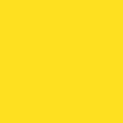 E Colour #100 Spring Yellow (48 x25  Roll)