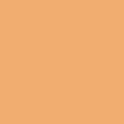 6.6 x 6.6  2 Tangerine Solid Color Filter