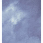 Masterpiece Muslin Background   10x12  Sheet   Athens