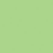 1 2 Plus Green Cine Filter (24 x50  Roll)