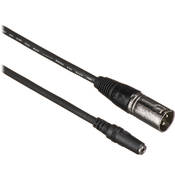 EXF Series Mini Female to 3 Pin XLR Male Cable   10