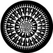 Standard Steel Gobo #7231   Kaleidoscope