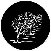 Standard Steel Gobo #7744   Three Trees   Size A 100mm
