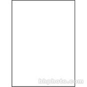 Impression Muslin Background   10x20    Solid White