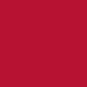 #42 Deep Salmon Fluorescent Sleeve T12 (48 )