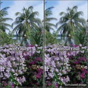 A112 Split Field  2 Filter