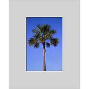 Mat   Fits Gallery and Presentation Frames, 16x20  with 8x12  Opening,  Centered