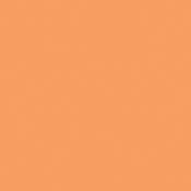 GCA1549  1 2 CTO Orange Cine Filter (24 x50  Roll)