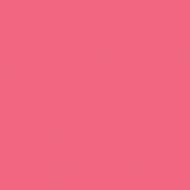 Roscolux #332 Filter   Cherry Rose   20x24  Sheet