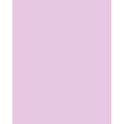 3 x 4  CC20M Magenta Filter