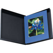 Elite Box #1285   8 x 10 x 2