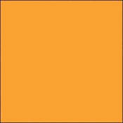 GC455  GamColor Colored Cine Filter #455 (Yellow Sun) (20x24  Sheet)
