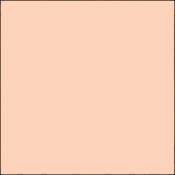 GamColor #327 Filter   Pale Sepia   Naked Cosmetics #NCR6 Filter   Rosey Accent   20x24  Sheet