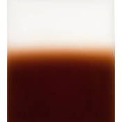 A125 Tobacco Graduated T2 Resin Filter
