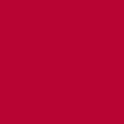 Fluorescent Lighting Sleeve Tube Guard (#42 Deep Salmon, 3  Long)