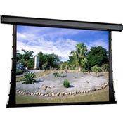 101178 Premier Motorized Front Projection Screen (10 x 10 )