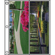 Photo Saver Archival Storage Page   4x11.5  APS   Holds 4 Prints   25 Pack