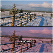 2 x 2  1 Cranberry Solid Color Filter