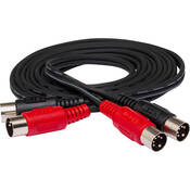 2 Midi to 2 Midi (dual) Cable   3 ft