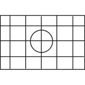 Intenscreen for Nikon F5   Matte with Grid