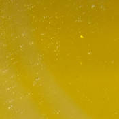 Yellow Filter for Dichroic Lamphouses (Replacement)