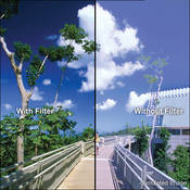 86mm Coarse Thread 85B Linear Polarizer Filter (Non Rotating)