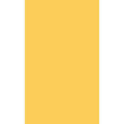 Smooth   24 x 30  Roll   Light Gold