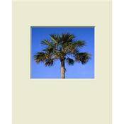 Mat   Fits Gallery and Presentation Frames, 16x20  with 8x10  Opening, Antique White with Bevel   Landscape Format