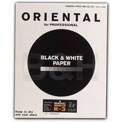 Seagull Black & White Graded #3 RC (Resin Coated) Luster Paper   20 x 24 (10 Sheets)
