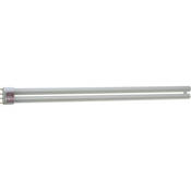 True Match Compact Fluorescent Lamp   55 Watts 2900K   21