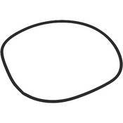 O Ring for RCD and Super 8 RCD Lites (Replacement)