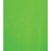 Canvas Background, Lightstand Mount   8x10    Chroma Key Green