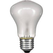 Modeling Lamp   100 watts 90 volts   for EL250, EL250C Monolights