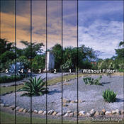 3 x 4  2 Coral Soft Edge Graduated Filter (Vertical Orientation)