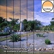 5 x 6  1 Coral Hard Edge Graduated Filter (Horizontal Orientation)