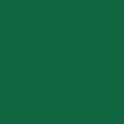 E Colour #090 Dark Yellow Green (21x24  Sheet)