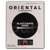 Seagull Black & White Graded #2 RC (Resin Coated) Glossy Paper   20 x 24 (10 Sheets)