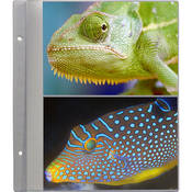R57 Refill Pages for the PS 5781 Photo Album (Pack of 5)