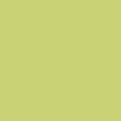 #388 Gaslight Green Fluorescent Sleeve T12 (48 )