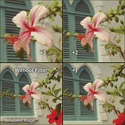 138mm Close up  3 Lens