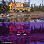 2 x 2  3 Grape Solid Color Filter